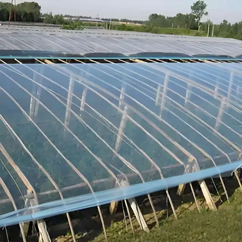 Антиконденсатная тепличная плёнка (3)