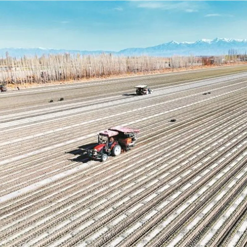 Белая мульчирующая плёнка (5)