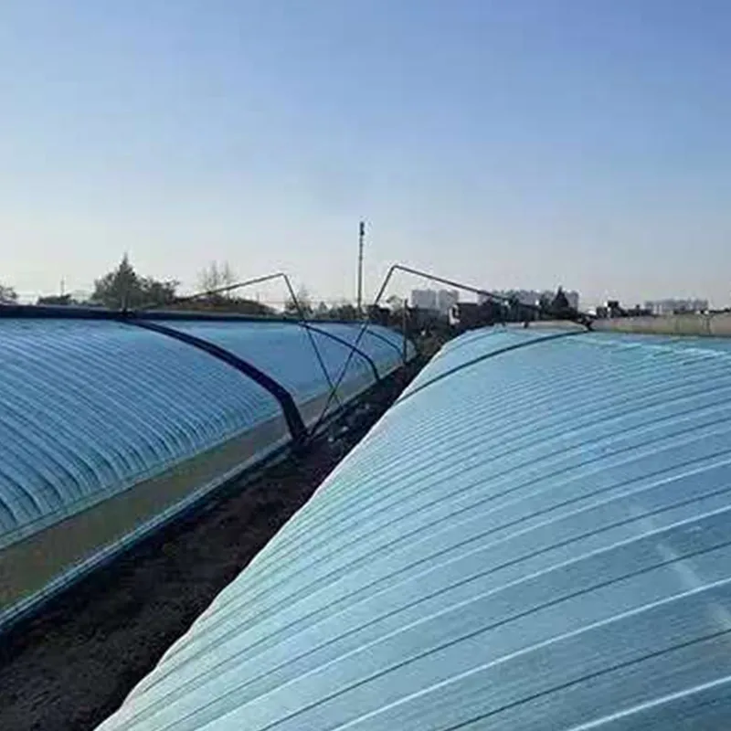 Обычная белая тепличная плёнка (3)