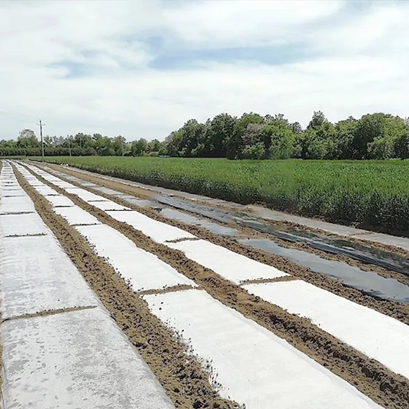 Утолщённая высокопрочная мульчирующая плёнка - белая (3)