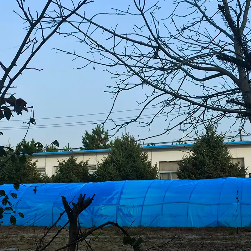 PO тепличная плёнка (5)