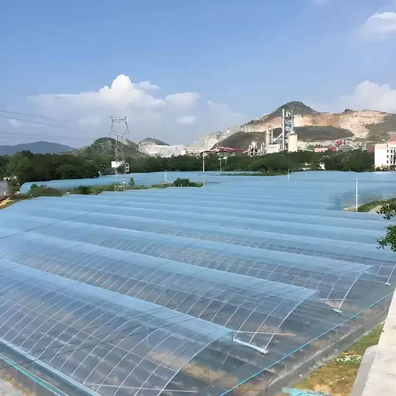 PO тепличная плёнка (3)