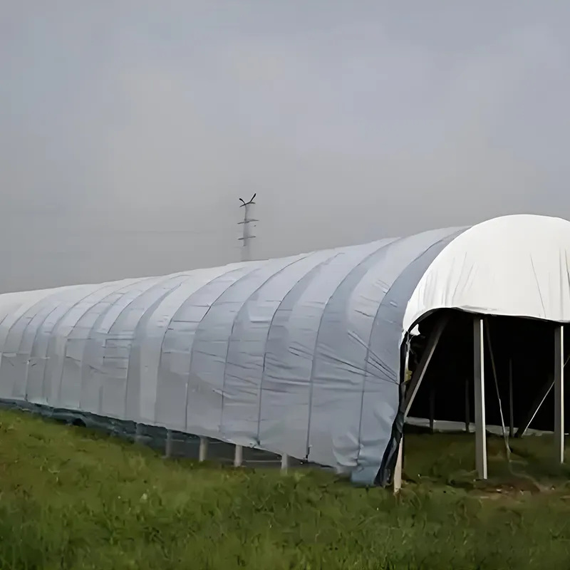 Отечественная чёрно-белая тепличная плёнка (4)