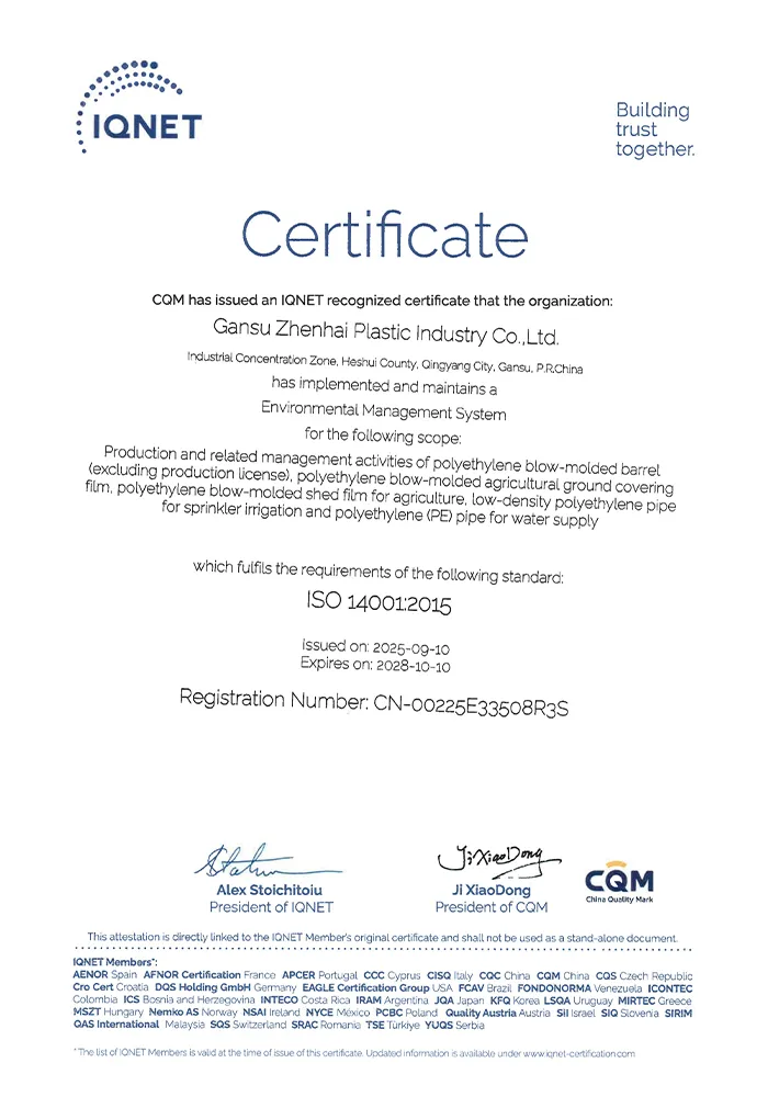 Сертификат1