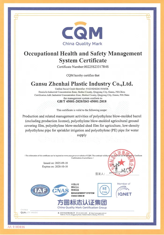 Сертификат11