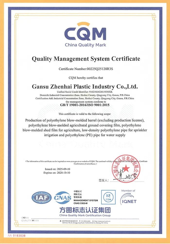 Сертификат12