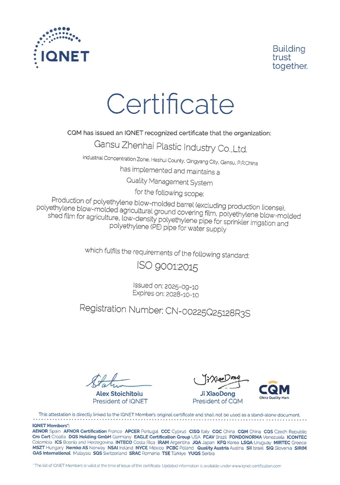 Сертификат2