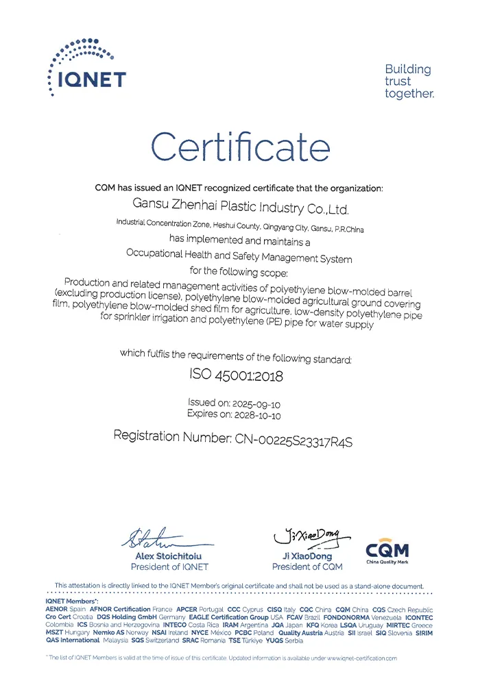 Сертификат3