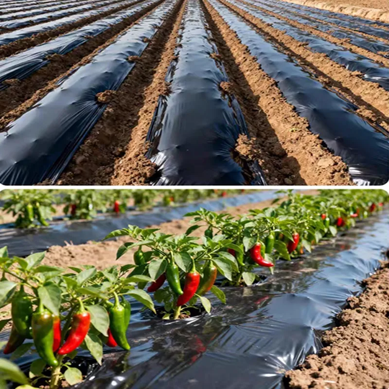 Утолщённая высокопрочная мульчирующая плёнка - чёрная (3)